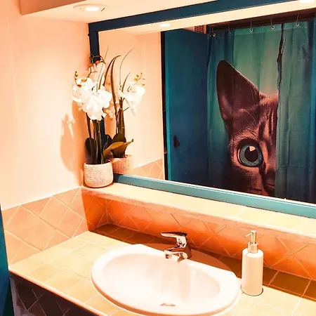 Space House & Surprise - Disneyland & Paris Chalifert